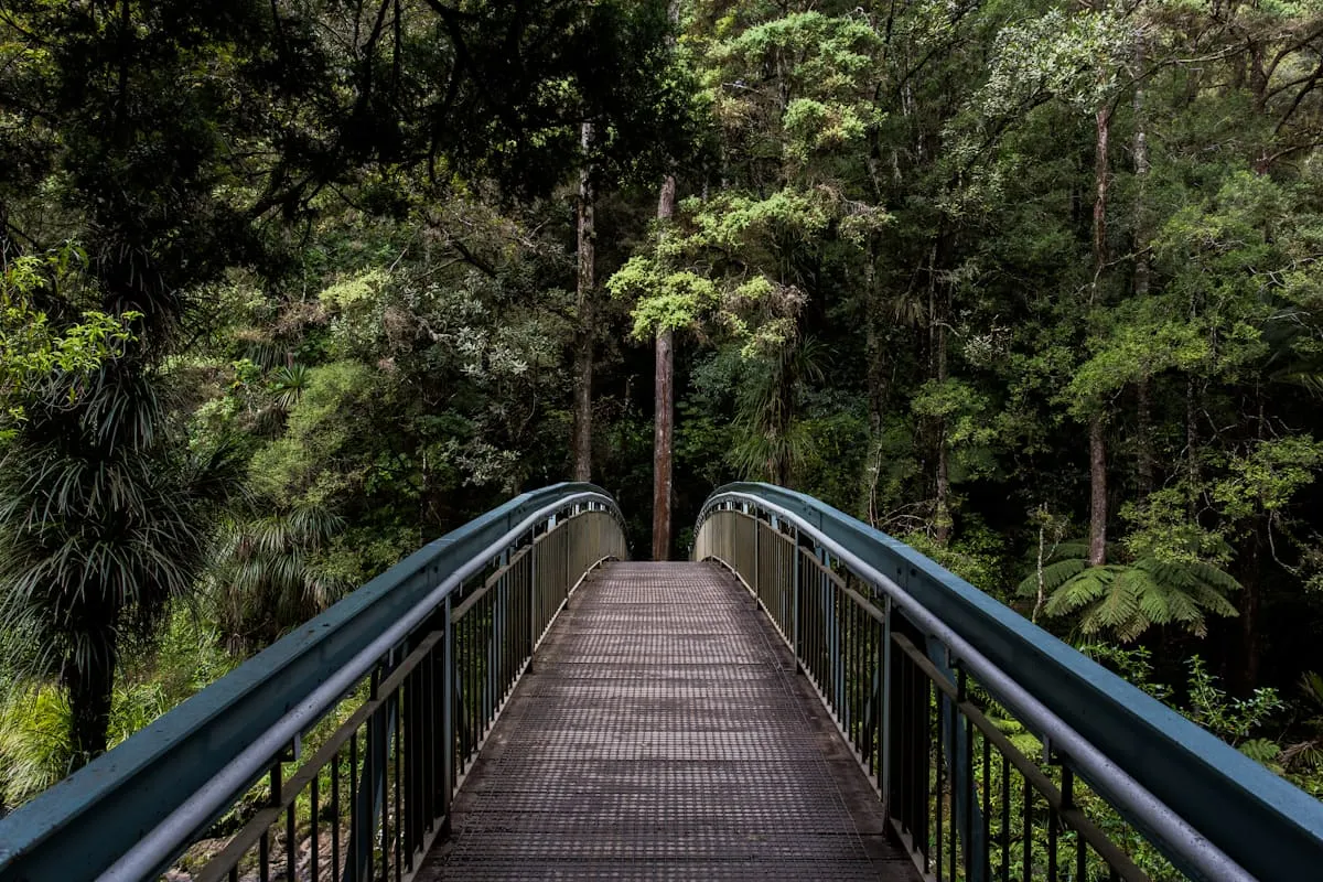Embrace Nature’s Beauty - RiverCairnStudio outdoor design Australia